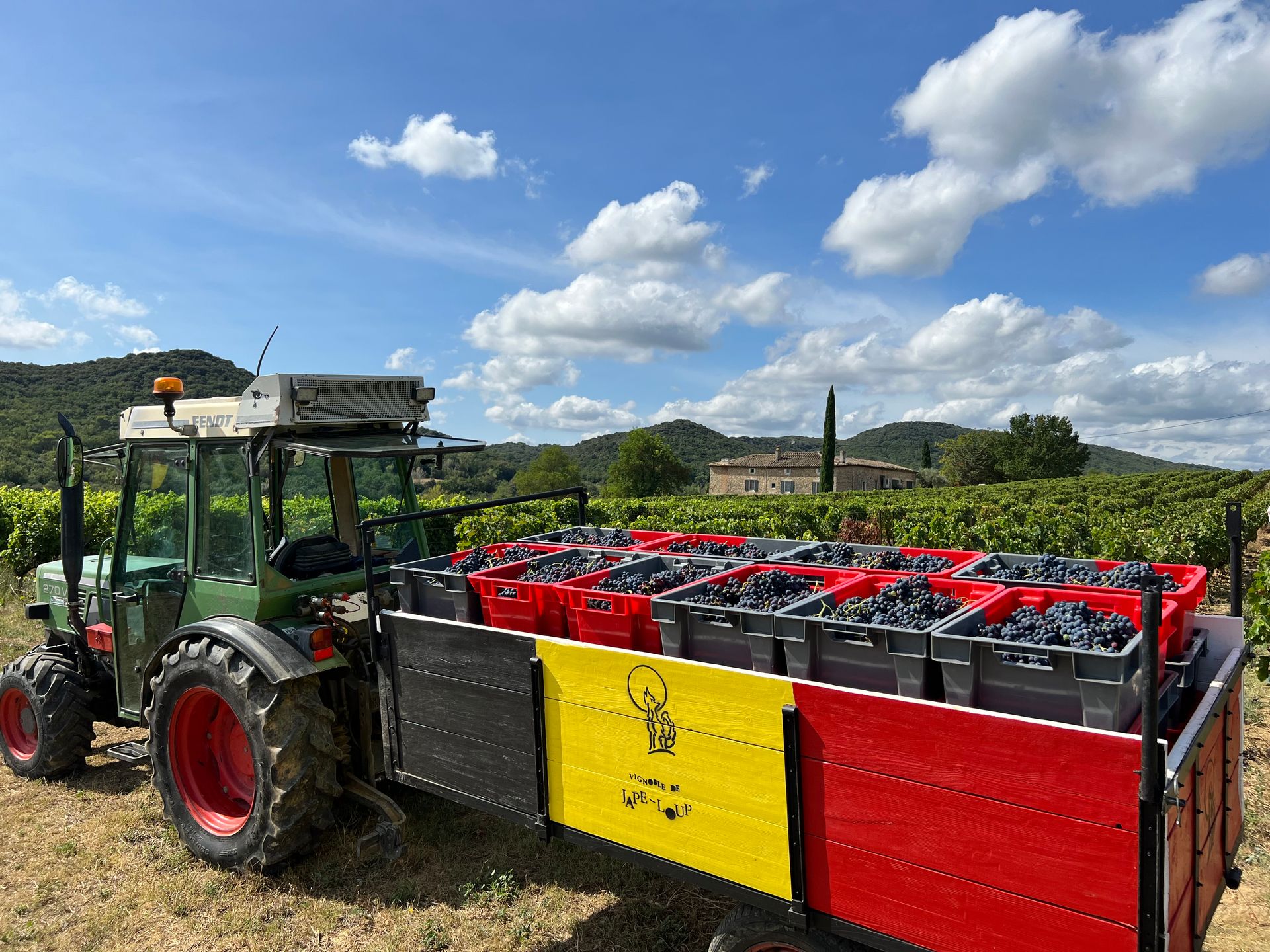 Photo n°8 du vignoble de Jape-loup